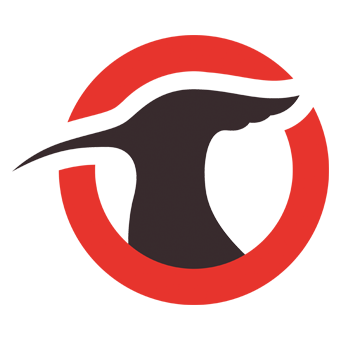 وكالة عكس السير الإخبارية لوغو