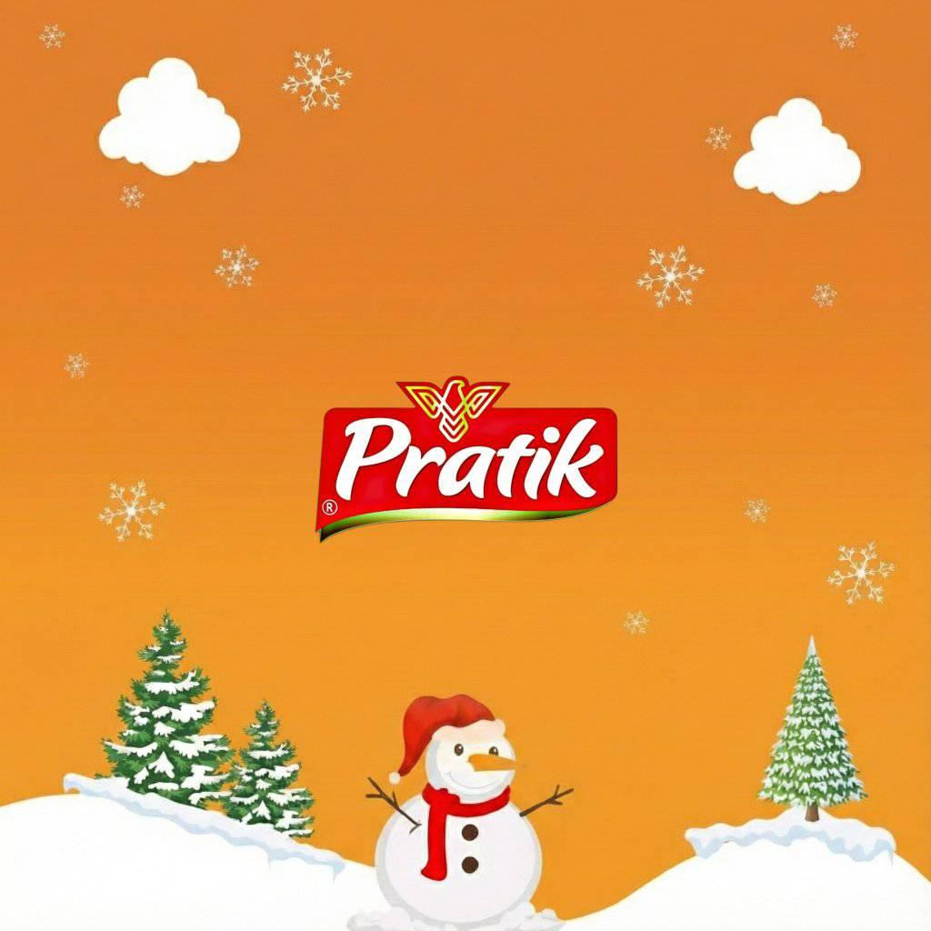 شركة براتيك Pratik Company  لوغو