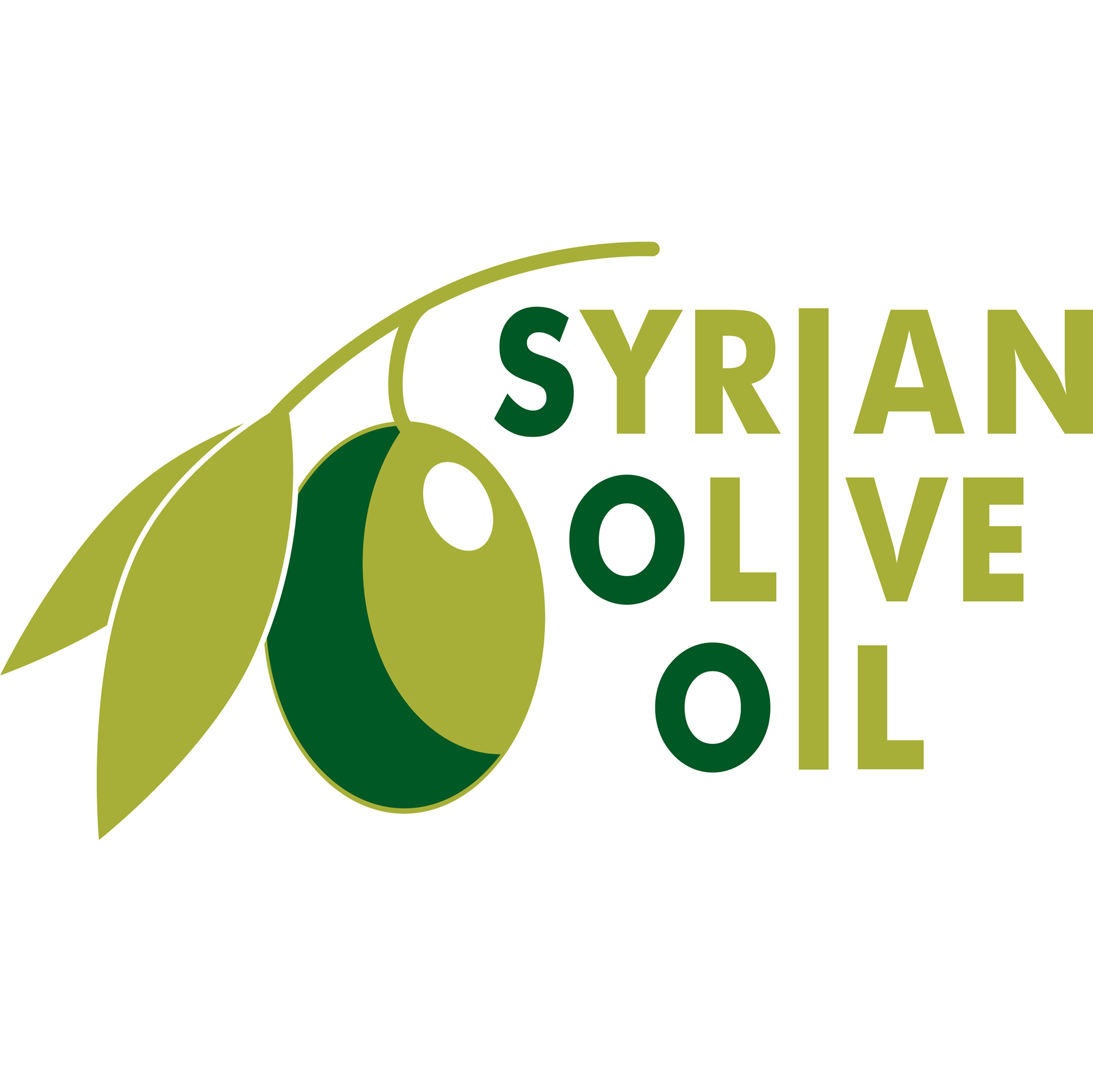 شركة زيت الزيتون السوري المساهمة المغفلة الخاصة