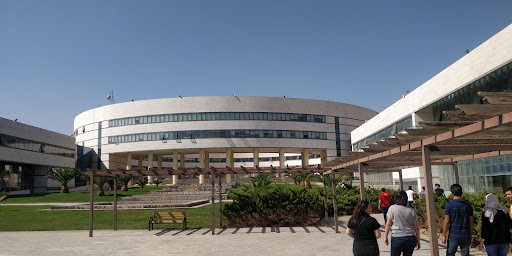 الجامعة العربية الدولية