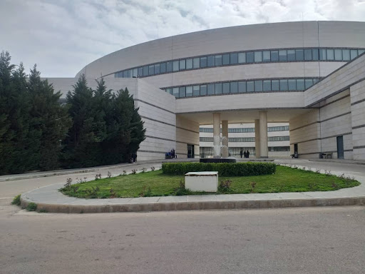 الجامعة العربية الدولية الخاصة