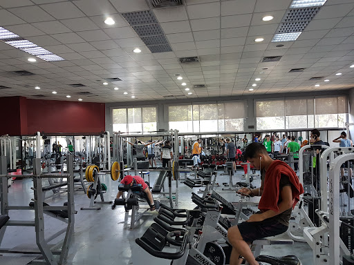 I Gym fitness factory