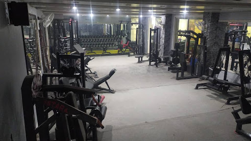 Vipsport gym