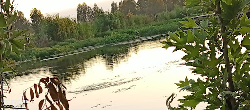 مدرسة حاميش لتعليم قيادة السيارات