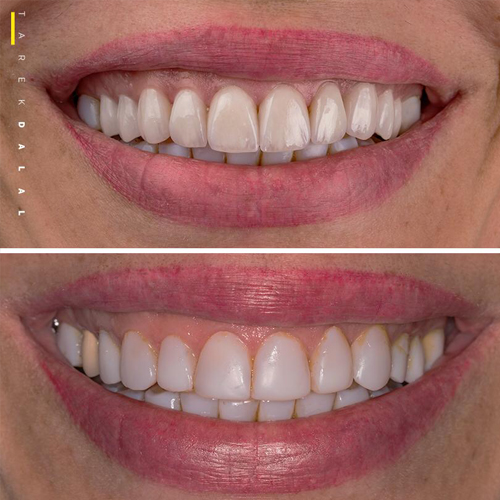 الدكتور طارق دلال