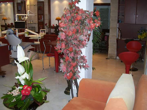 صورة 2