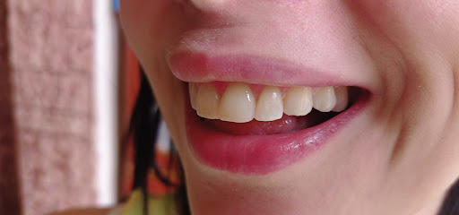 د مجد الدين احمد سلوم