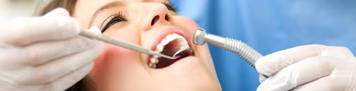 الدكتور محمود خليل