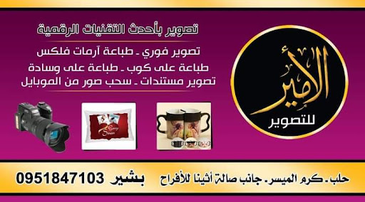 مصور الأمير