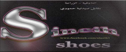 أحذية سينيه