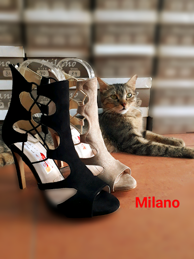 Milano Shoes