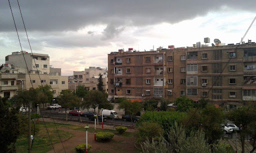 كازية حاميش