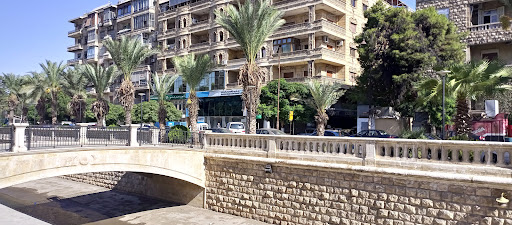 المتحدة للتأمين UIC