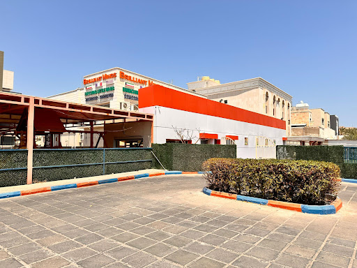 Brilliant Minds - Rawda