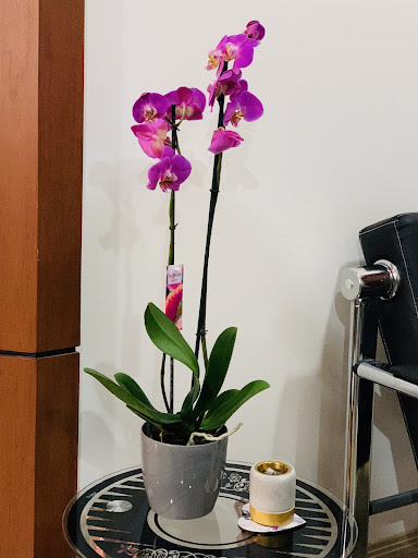 شركة AG للمقاولات الزراعية