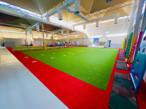 واحة العلم العالمية