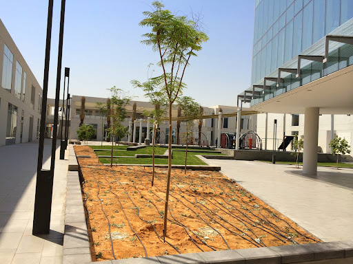 المدرسة الأمريكية العالمية