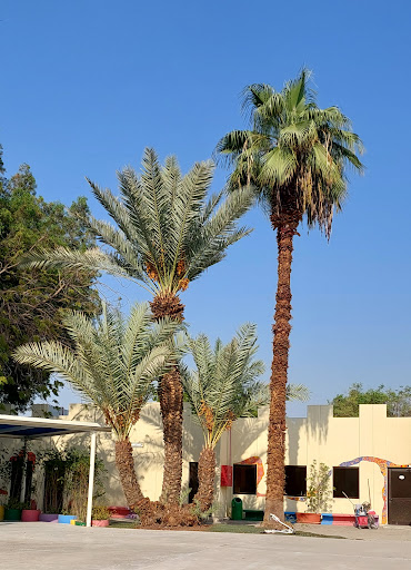 المدرسة الألمانية العالمية