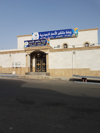 مدارس نور الأنصار الأهلية