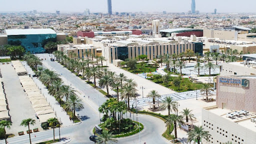 جامعة الأمير سلطان